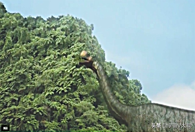 恐龙为什么灭绝得这么彻底,恐龙为什么会灭绝得到证实了吗