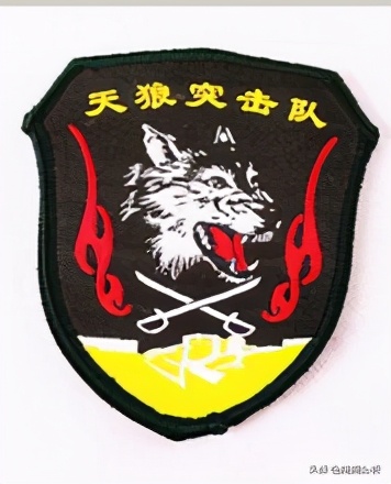 中国特种部队对比外国特种部队,中国特种部队为什么不出名