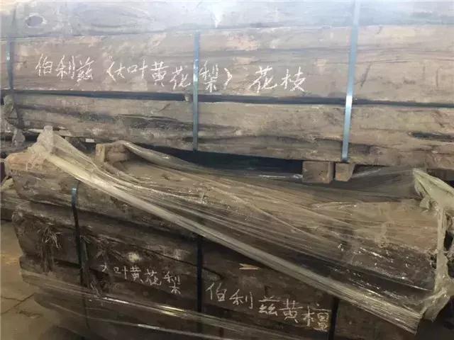 大叶黄花梨是什么样的,大叶黄花梨和白酸枝