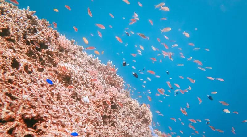 印尼巴厘岛有什么值得去的地方,印尼海岛巴厘岛