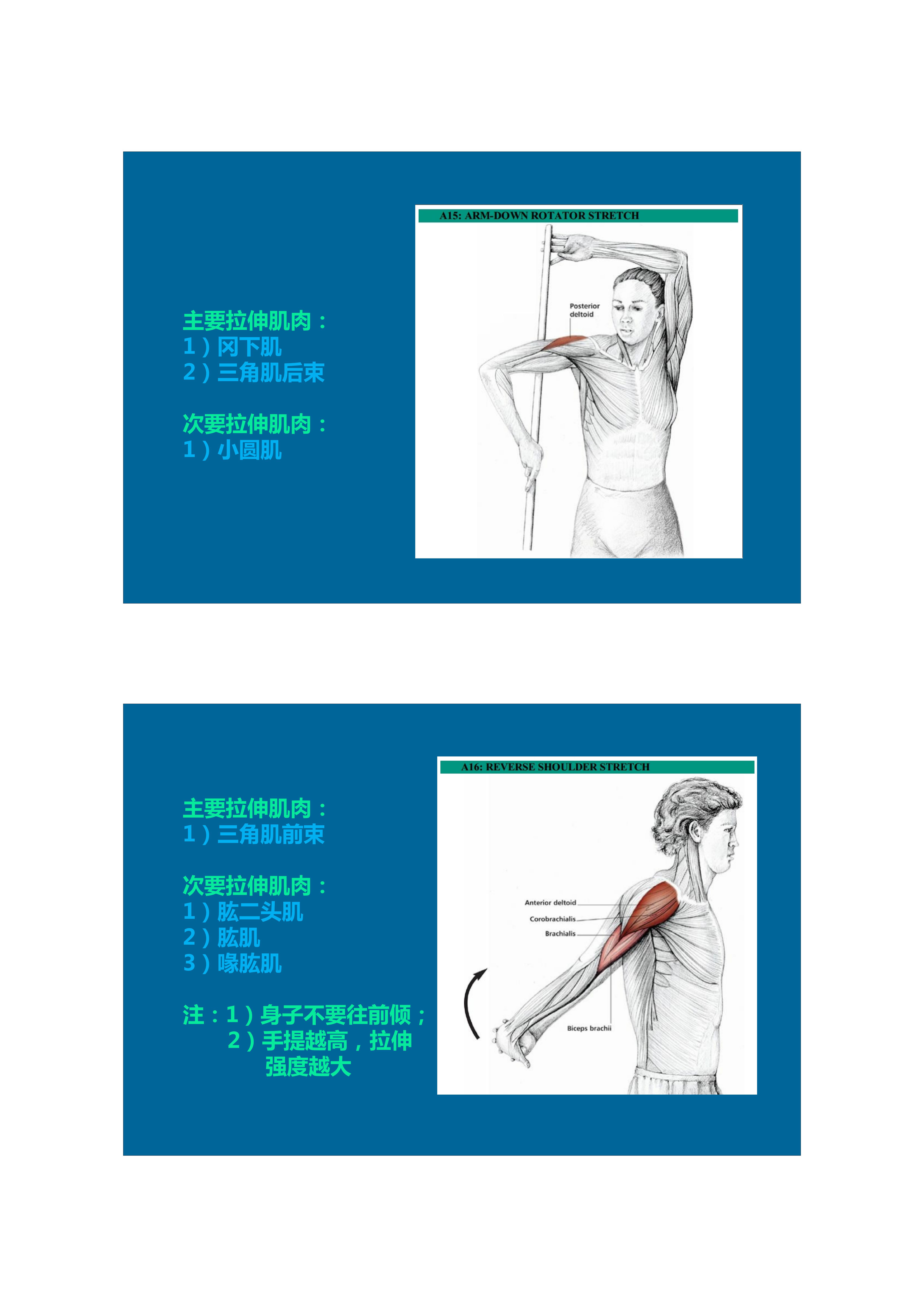 1分钟拉伸动作视频,拉伸腿部技巧