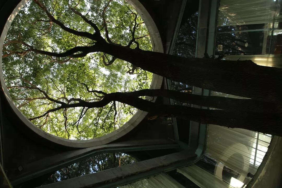 江苏省高校(六十六)苏州大学应用技术学院