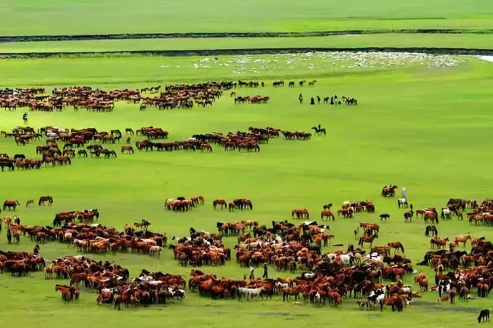 各地人性格特点,全国各地人性格特点总结