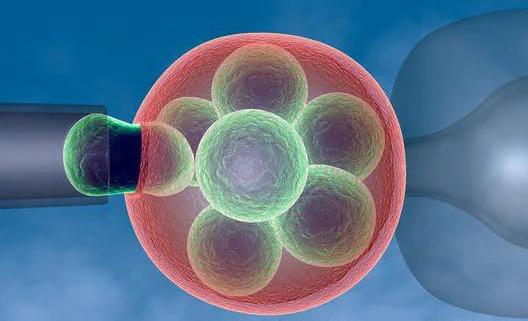 甲减不用愁，干细胞有望修复甲状腺功能