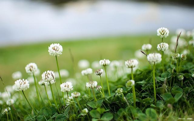 梅毒与海鲜过敏皮疹的区别,这不是海鲜