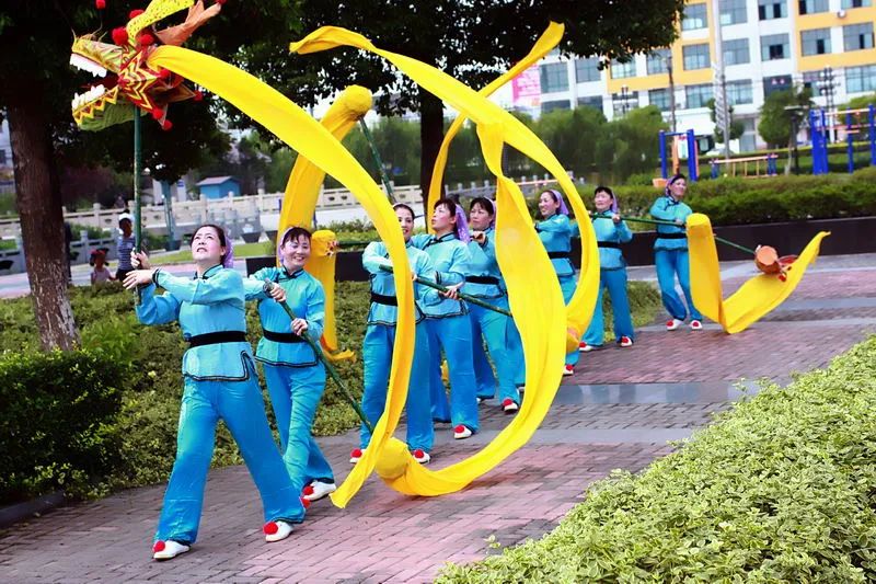 段龙表演,段龙舞龙