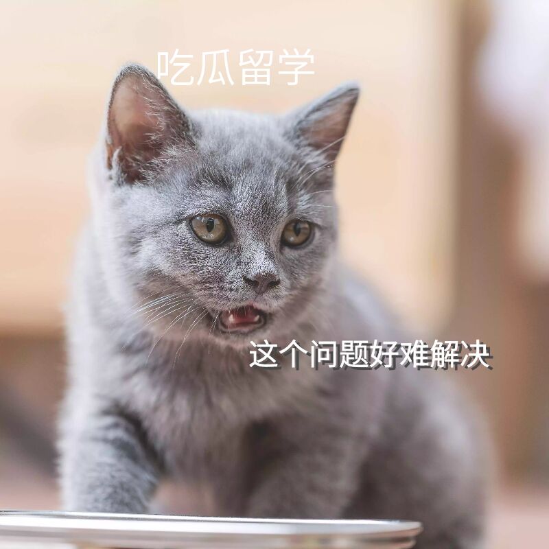 美国留学生gpa成绩不够怎么办理,美国留学gpa低被开除