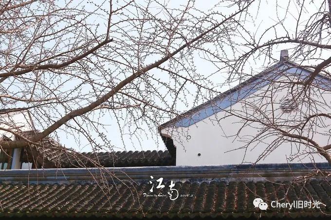 苏州旅游值得去的景点,去苏州旅游攻略最好的景点