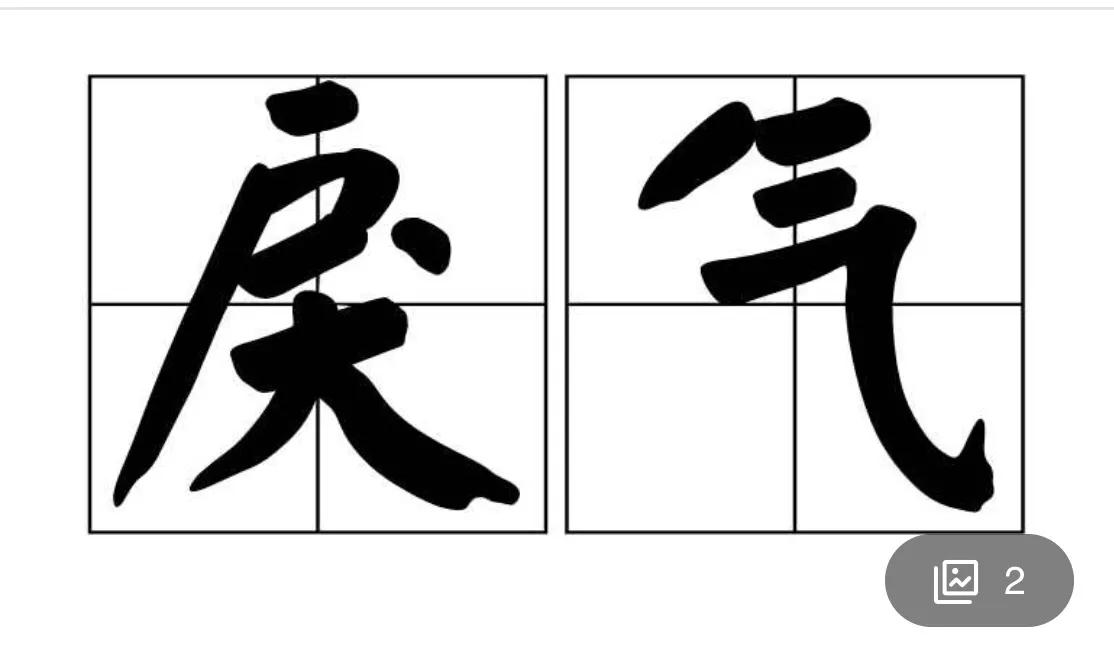 太嚣张遛狗不牵绳还打人已被刑拘,杭州遛狗不牵绳还打人处理结果