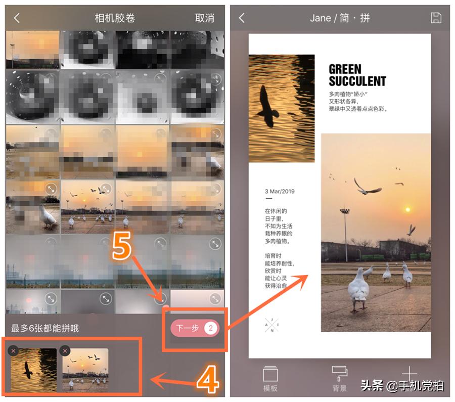 照片底部留白加字,图片怎么留白加文字