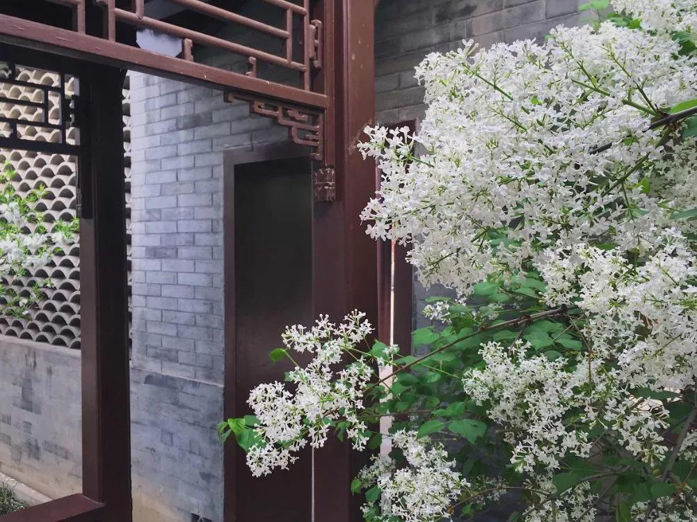 中国最美苏式私人院子,中国式老院子