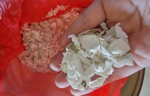 养花施肥用什么肥料效果好,养花施肥用什么肥料