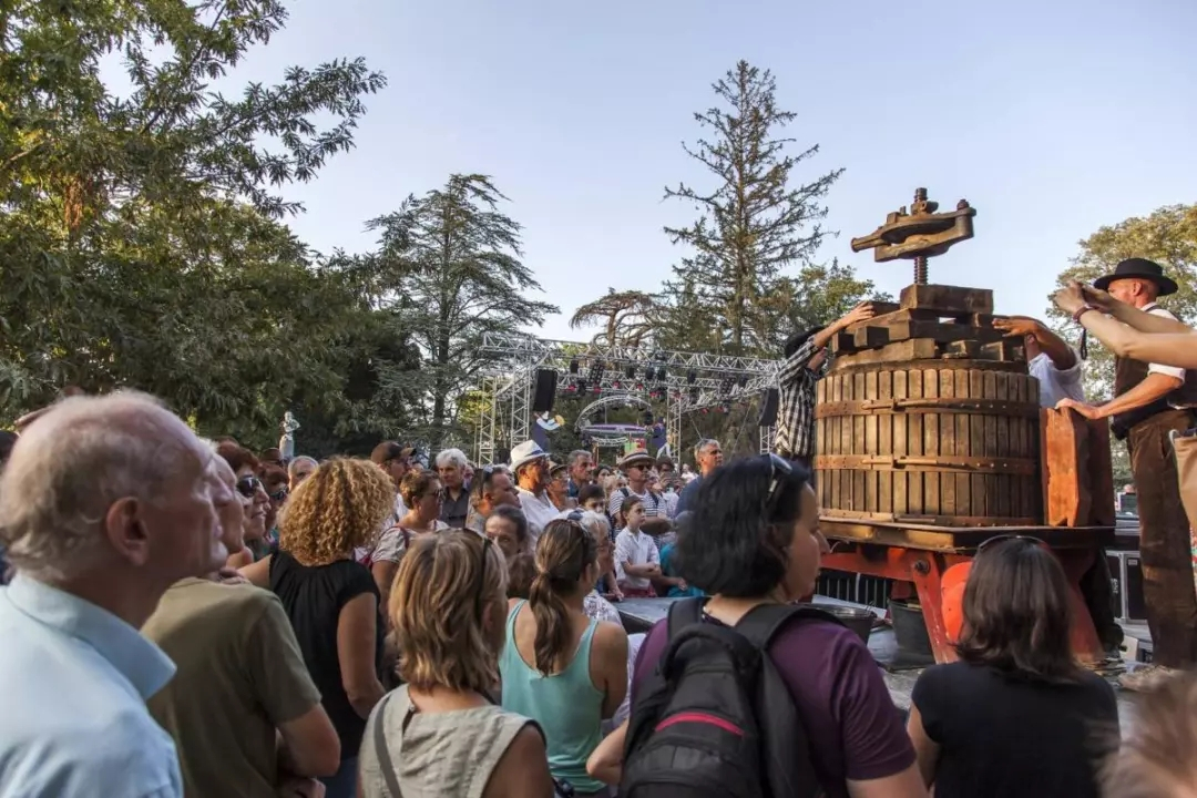 品乐Pinor：在法国葡萄园上班，就像在东北掰玉米……