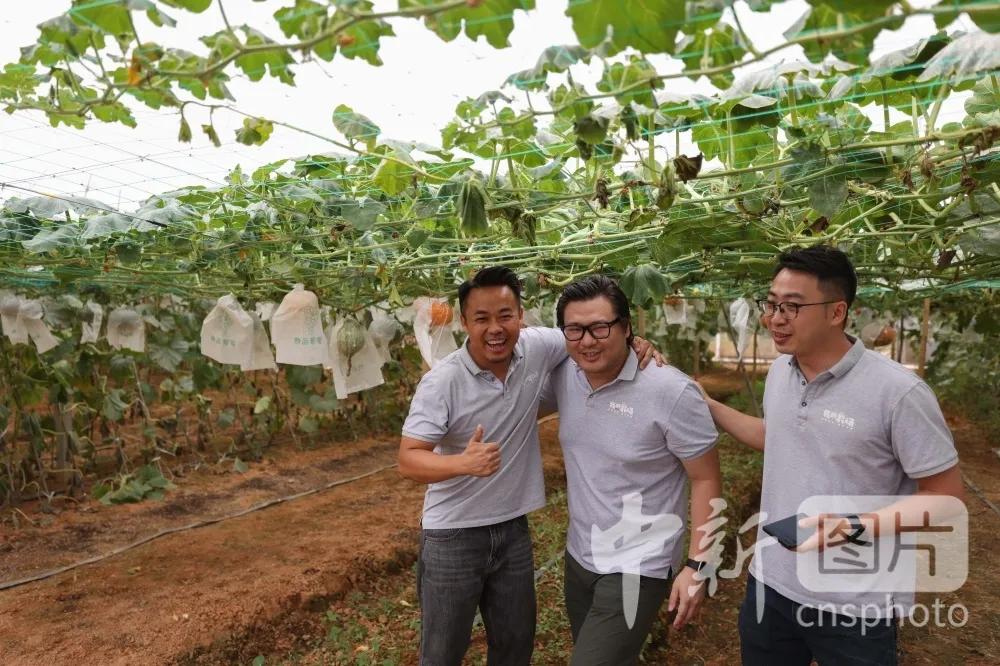 探讨湾区的未来,洞见湾区大未来