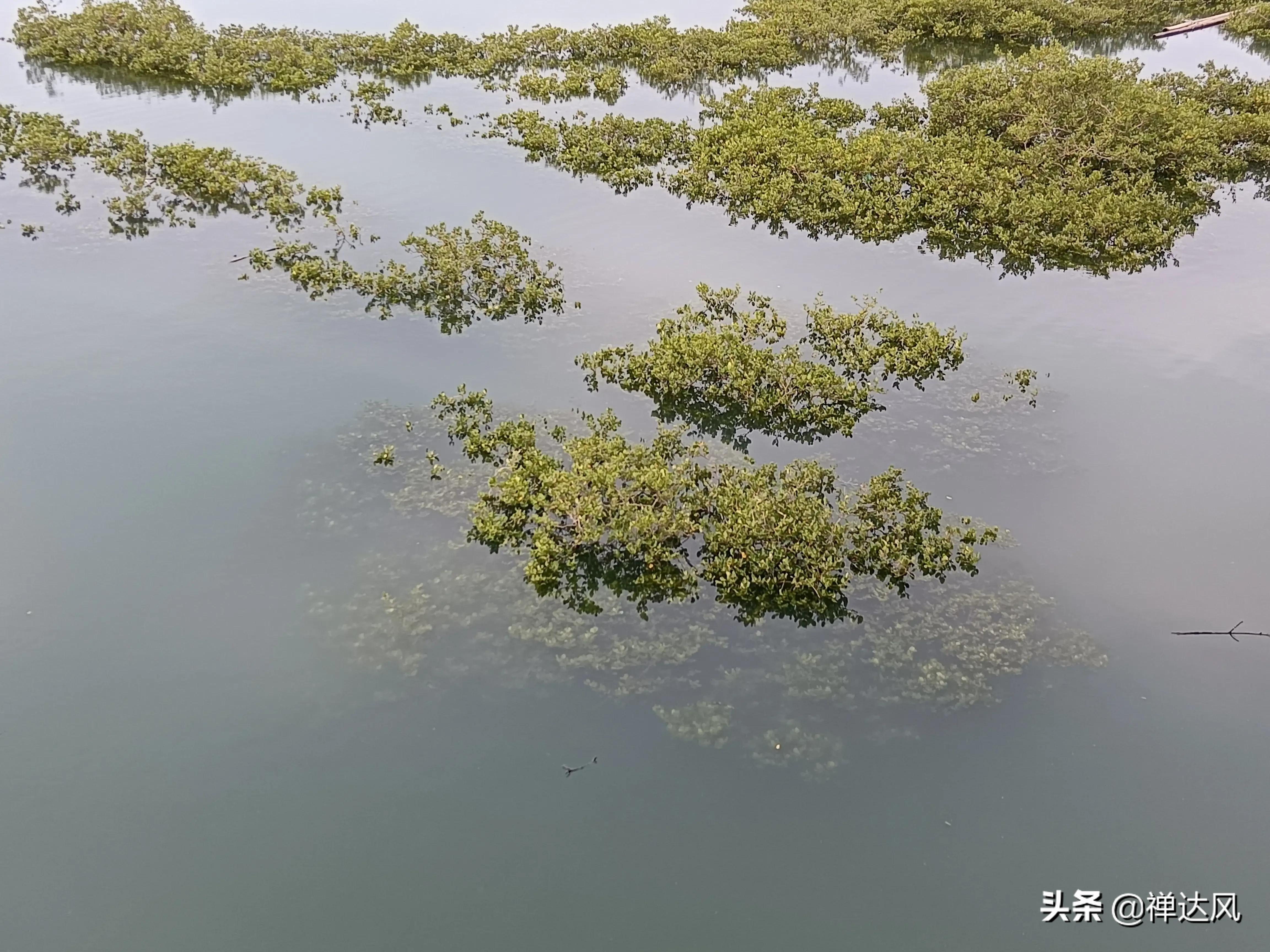 北海旅行流水账,北海道流水账