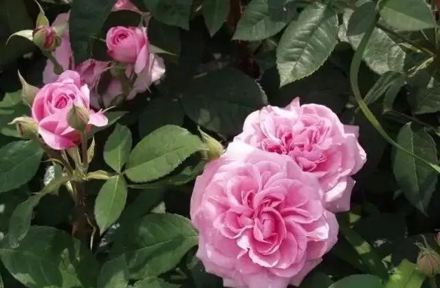 每天学习一点点女性小常识,每天学习一点点科普一下