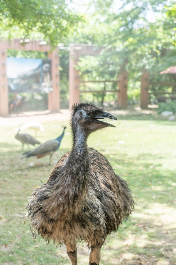 广州南沙最美风景区,南沙湾区超美风景线