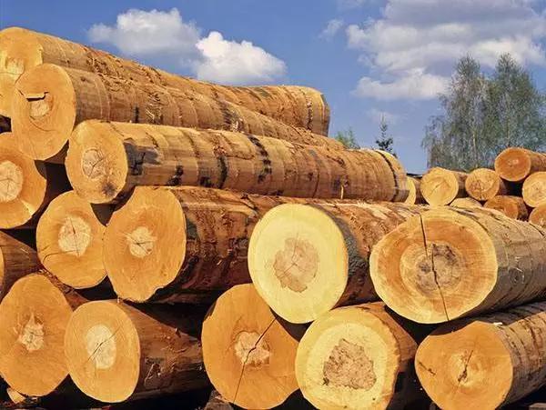 家具工厂原木怎样测量,木工建筑木材怎么识别