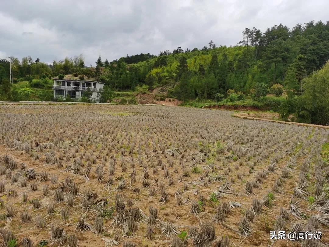 温州文成岭后烂井湖，虽繁华不再，却也有着属于它的传奇故事