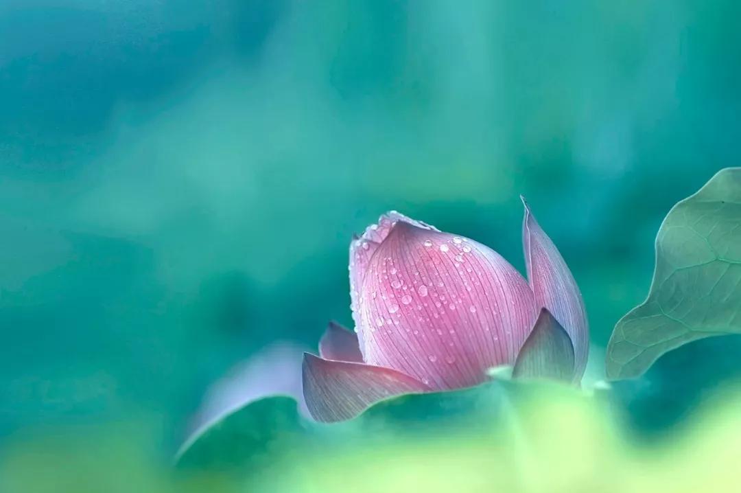 愿你一生不负红尘的诗句,六首诗词愿你岁月不老不负此生