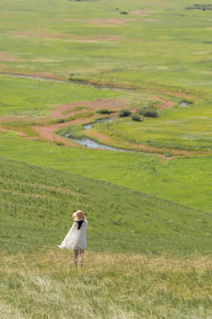 八月的呼伦贝尔大草原,辽阔的呼伦贝尔大草原风景