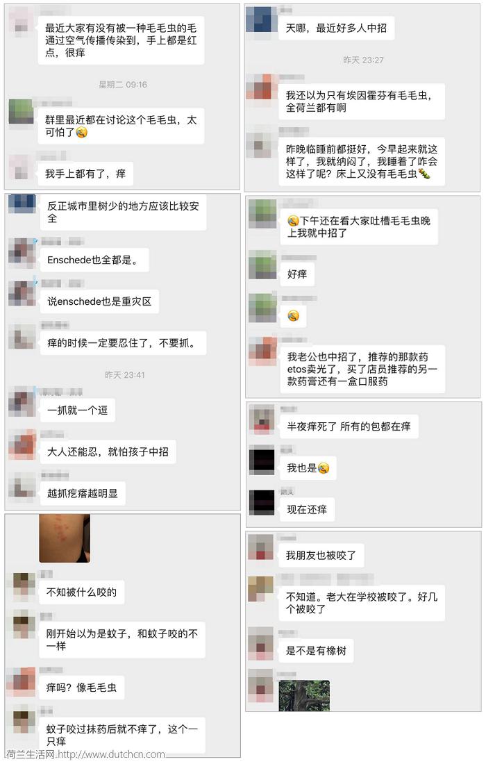 全球十大毒毛虫,毒毛虫的刺引起全身过敏