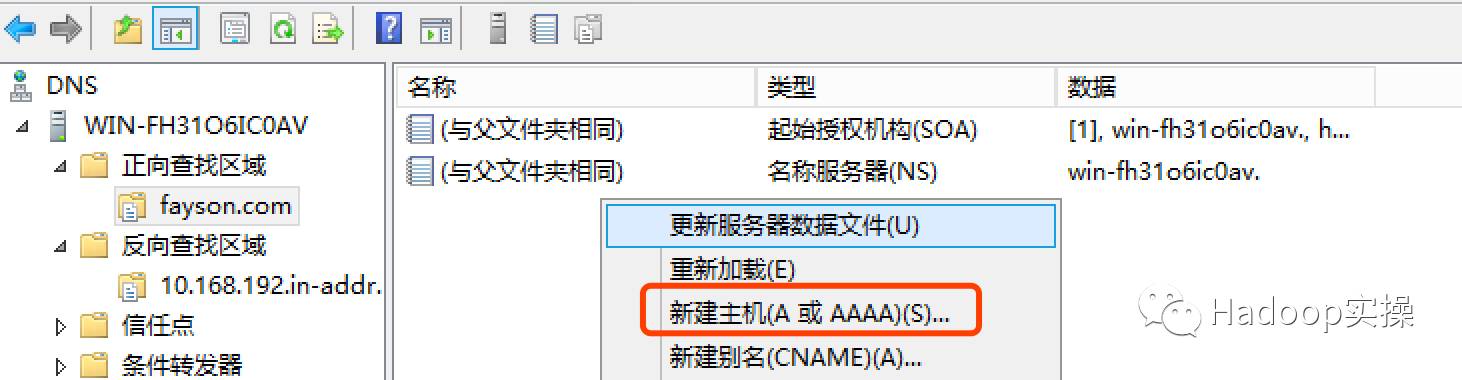 winserver2012dns服务查询,windows如何搭建虚拟dns服务器
