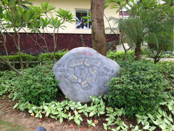 三亚自由行旅游攻略超详细哦,三亚旅游自由行全攻略