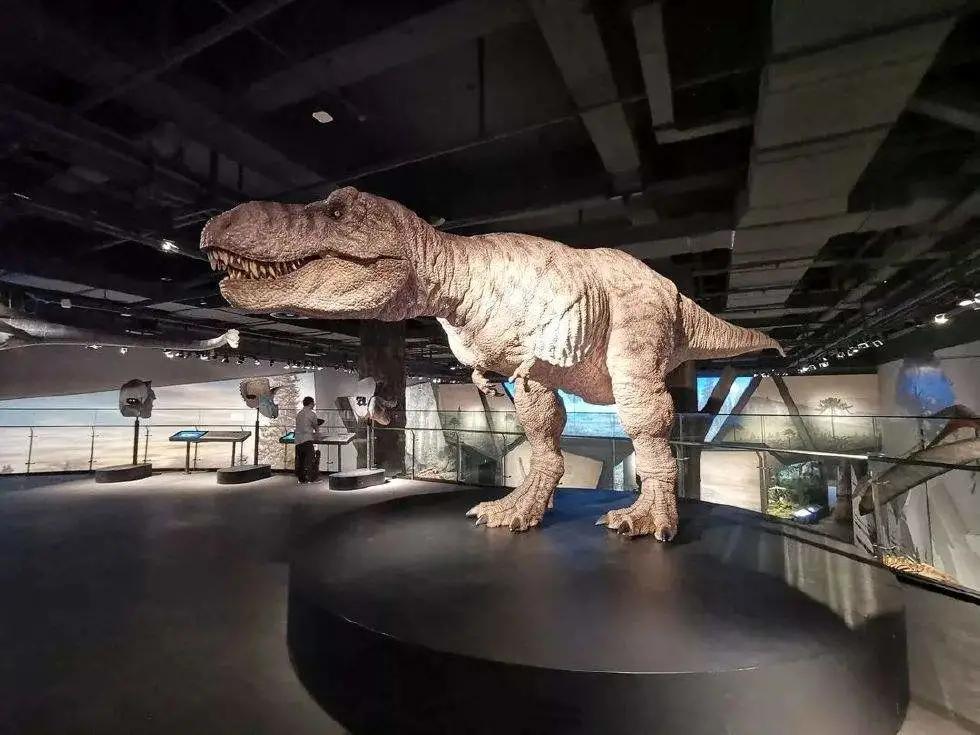 安吉君澜度假酒店周围有什么景点,安吉君澜度假酒店团购