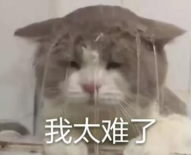 我太难了用日语怎么说,我太难了用英语怎么说呢