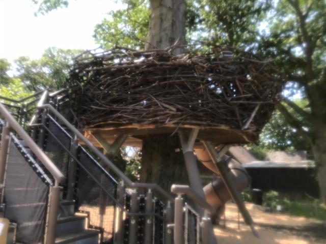 探访华盛顿动物园,波士顿公园周边游