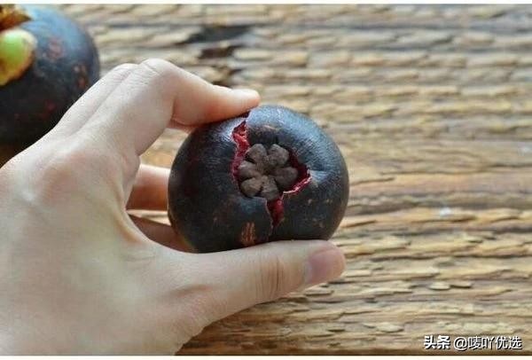 山竹油竹麻竹红叶怎么区分,山竹麻竹油竹瓜竹都是怎么区分的