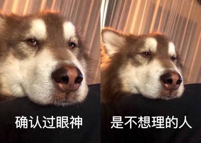 十二星座都是怎么回复消息,十二星座回复消息图片