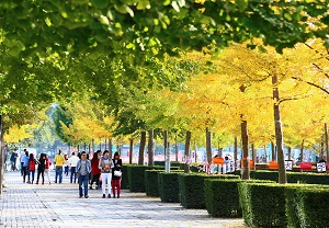 陕西女神学霸：学习好，颜值高，将赴211名校继续深造