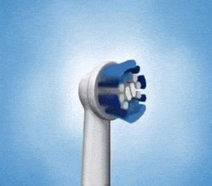 一口气丢了6个鸡肋拖把，我终于收获了舔地级干净