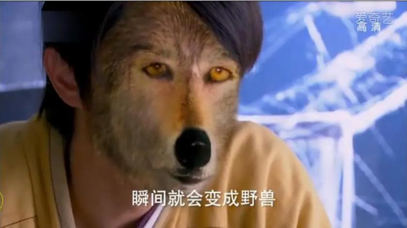 她是互联网的初代网红,他是网红全网第一