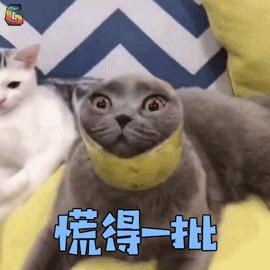 如果有东西落在了公交车上怎么办,行李落在大巴上怎么办