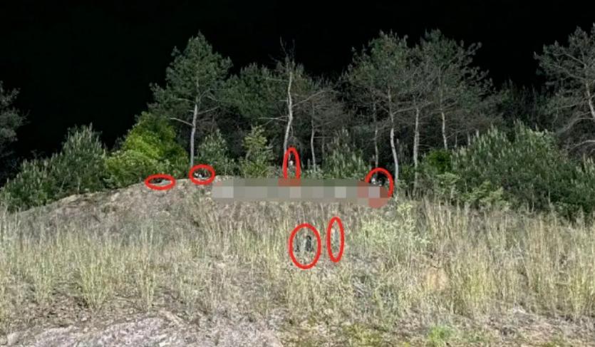 杨幂被偷包的影视剧,杨幂被偷