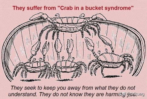vincestaples鑸炶箞,vincestaples涓撹緫