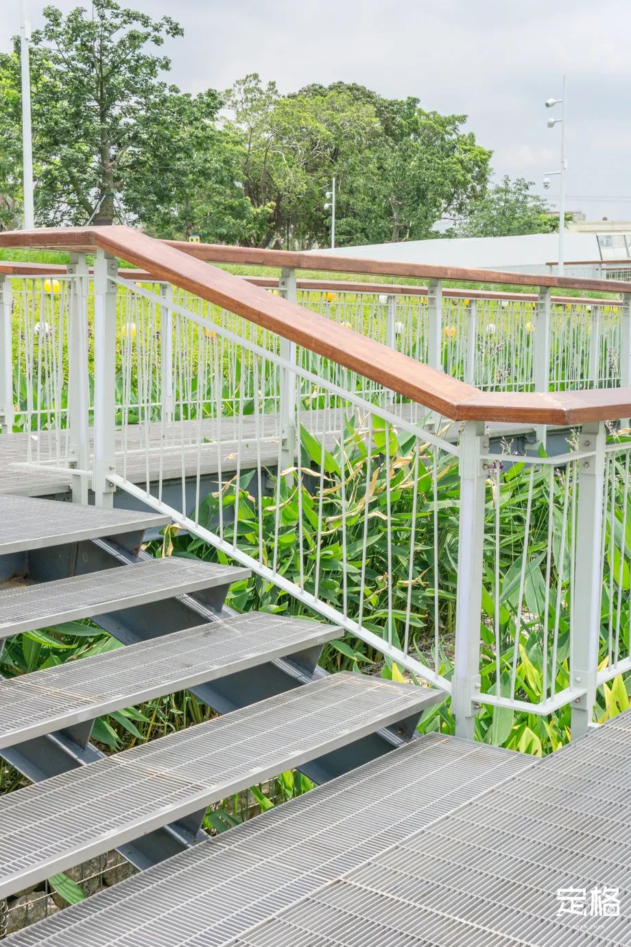 沙井万丰哪里的生蚝好吃,深圳沙井生蚝最出名店