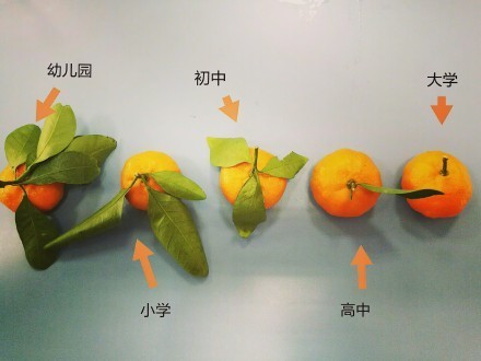 有了这个神器，英国人的脱发有救了？