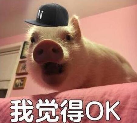 公立学校冬天冷,私立学校的春天来了