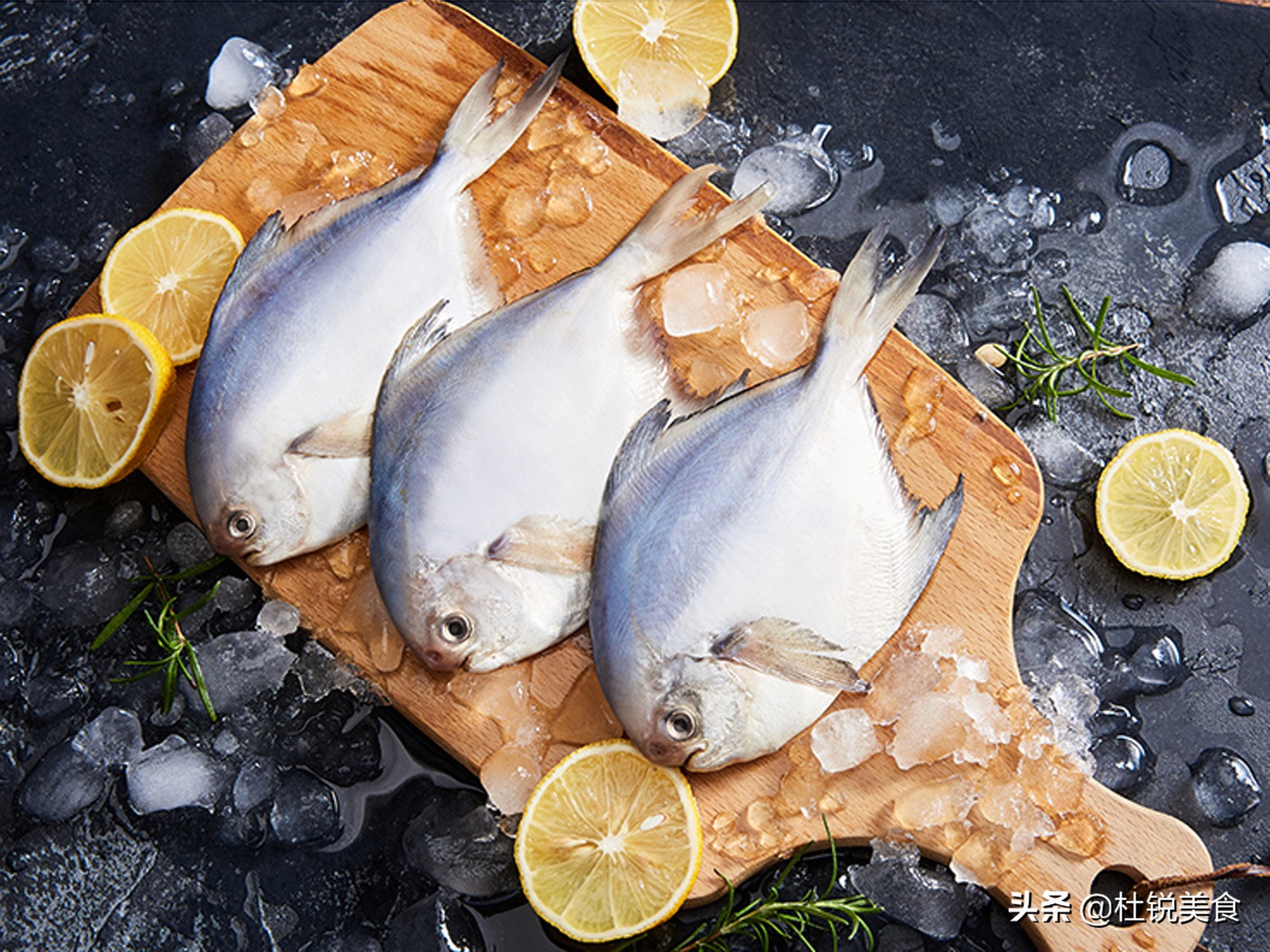 去买鱼可以买死掉的鱼吗,去买鱼的人