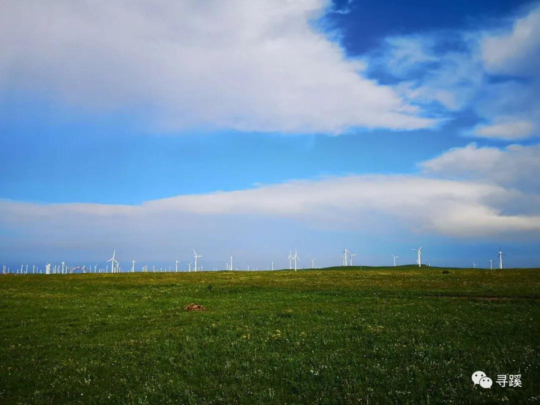 内蒙古大草原自驾游精品线路,辉腾锡勒草原黄花沟旅游攻略