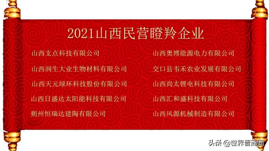 鹏飞与山西潞宝二审判决,鹏飞集团在山西排名