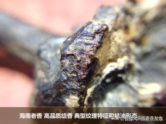 海南黄奇楠沉香什么味道,海南黎母山沉香味道和特征