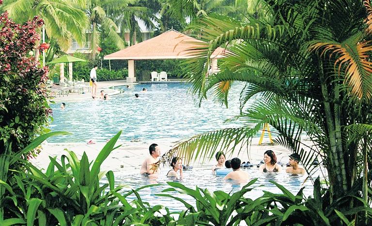 海南种草,海南果园种草技术