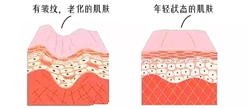 女明星为了变美能有多拼,女明星为了美有多拼完整版