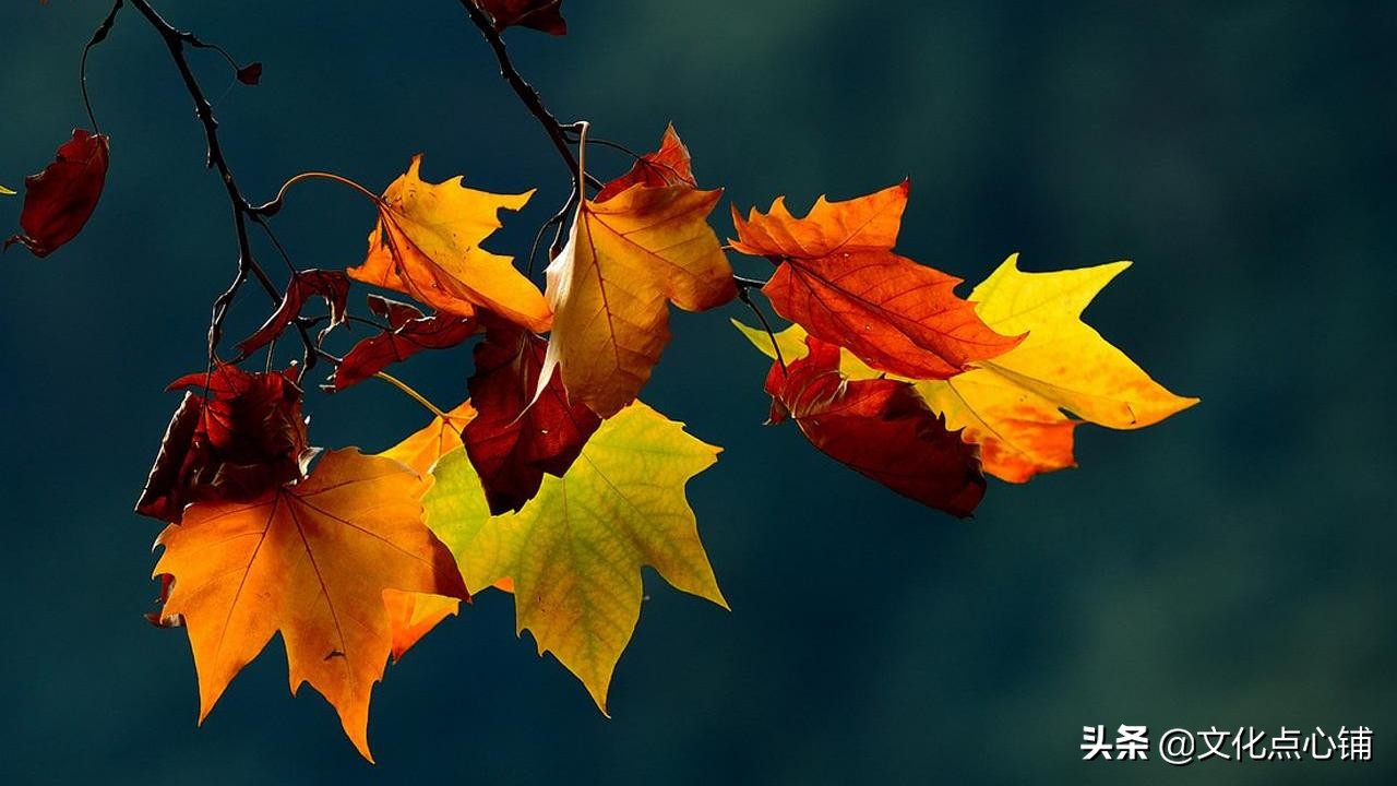 绝美相思情诗,十首最好的相思词