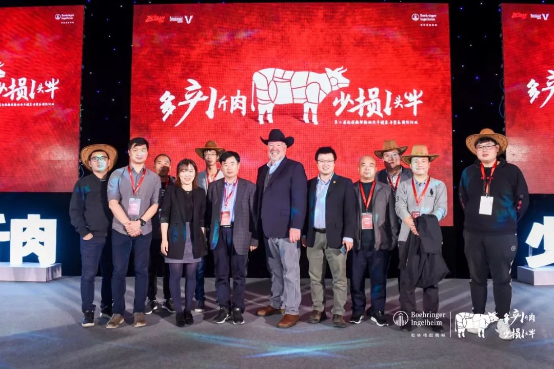 这一次，风口上站的是肉牛